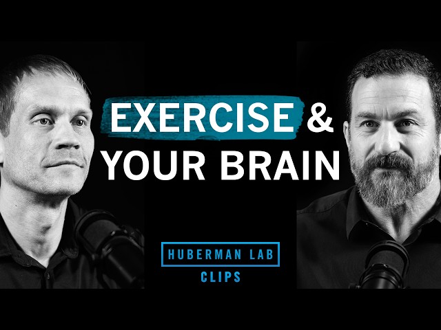How to Exercise For Improved Cognitive Function | Dr. Tommy Wood & Dr. Andrew Huberman