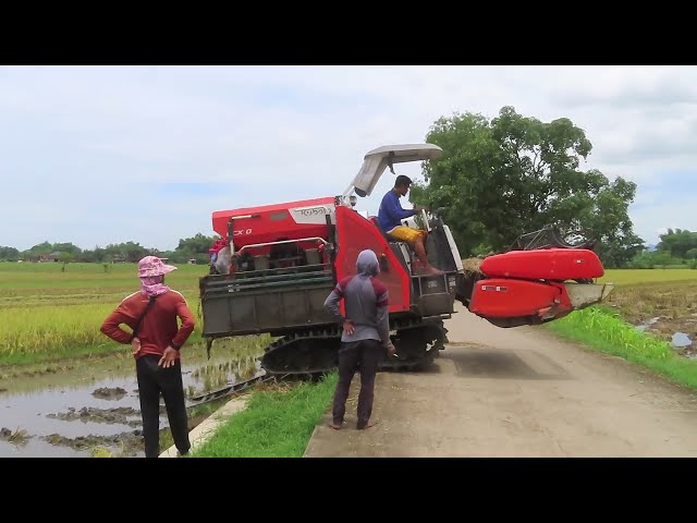 KOMBI SAWAH KUBOTA DCX100 PINDAH LAHAN