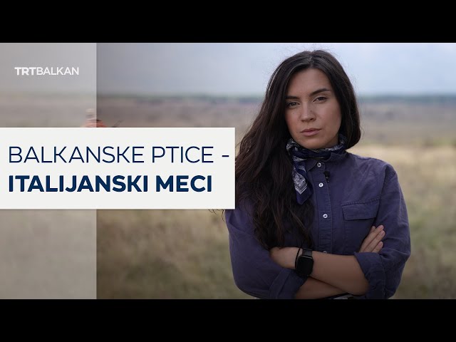 Balkanske ptice - italijanski meci