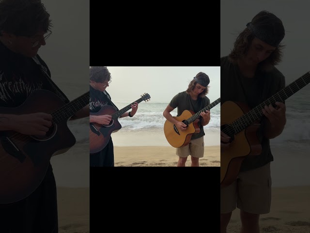 Calming acoustic guitar solo #shorts