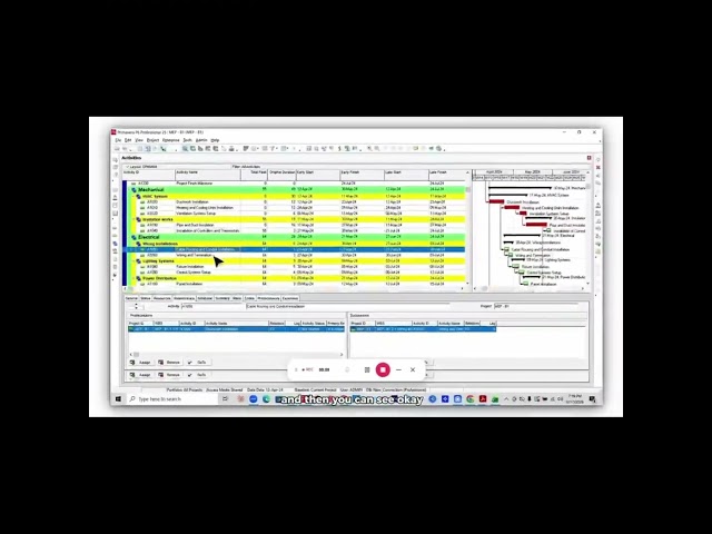 Do you really understand Total Float in Primavera P6?