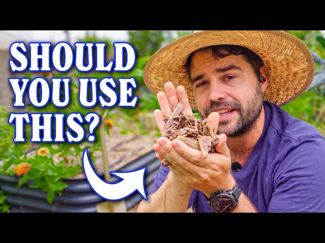 Do I Regret Filling My Raised Bed With Wood Chips | 1 Year Later