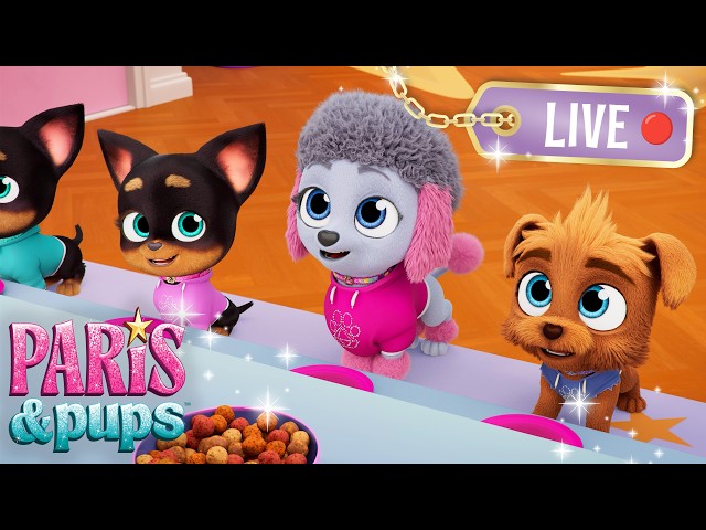 💖 Best of The Sweetie Squad 💖 Dress Up, Music and Dancing 🐾 @ParisAndPups