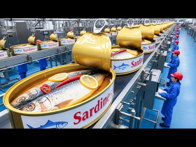 The Most Satisfying Factory Machines and Incredible Industrial Processes