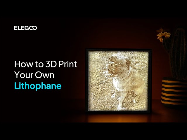 How to 3D Print Your Own Lithophane