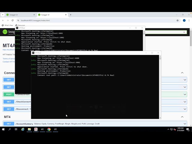 How to Install MT5 RESTFUL and MT4 RESTFUL on Python/Postman API Testing