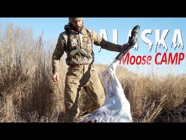 That's BOWHUNTING! Alaska Moose Hunting with a Traditional Bow