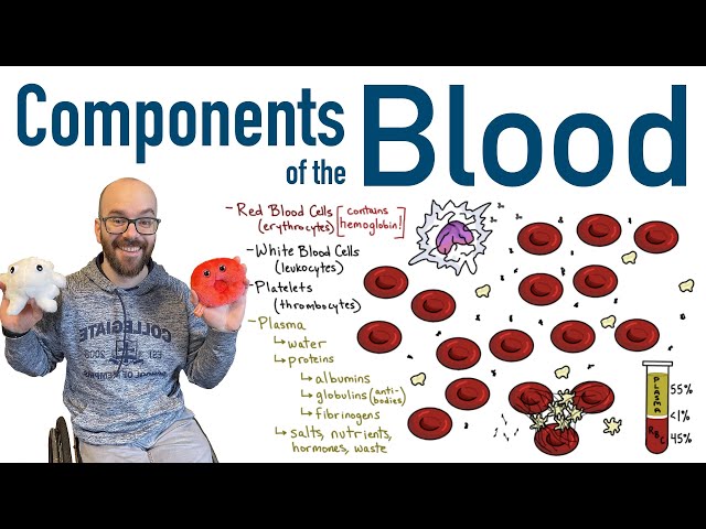 Components of Blood