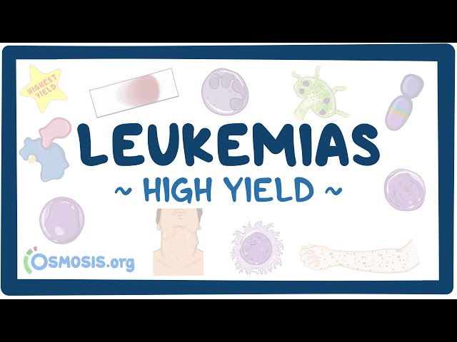 Leukemias: Pathology review