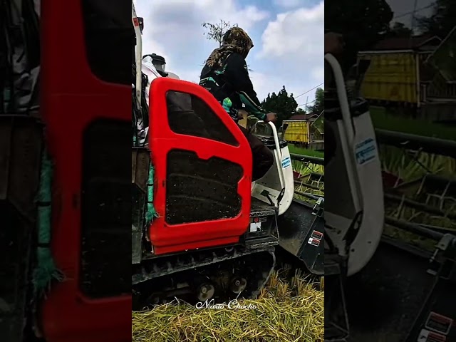 Kubota DC-35 Pro | Memanen di Lahan Kotak kecil #shorts
