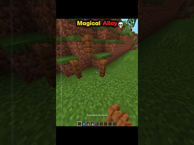 Minecraft Fire Allay...🤯