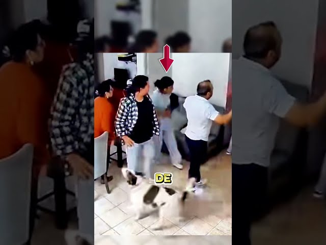 Little dog senses danger and alerts its owners