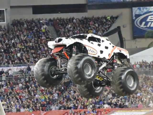 Monster Jam Monster Mutt Dalmatian Monster Truck Freestyle Tampa Florida 2013