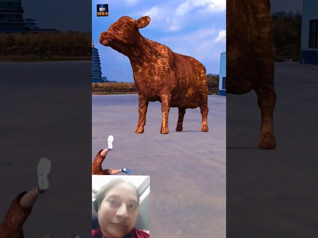 Epic Cow Show with INSANE VFX! Ball🔥 | Visual Effects That Will Blow Your Mind #shorts  #VFX