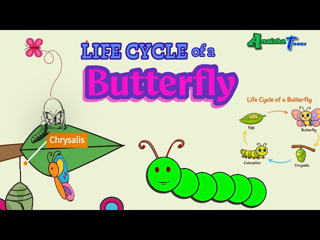 How a Caterpillar Becomes a Butterfly 🦋 | Fun Kids Learning with Flutter