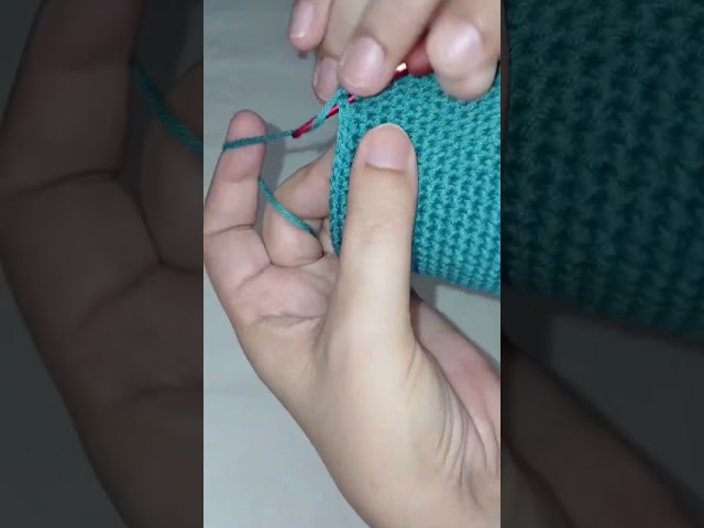 "Crochet Bottle Cover: Your DIY Water Bottle Holder!"