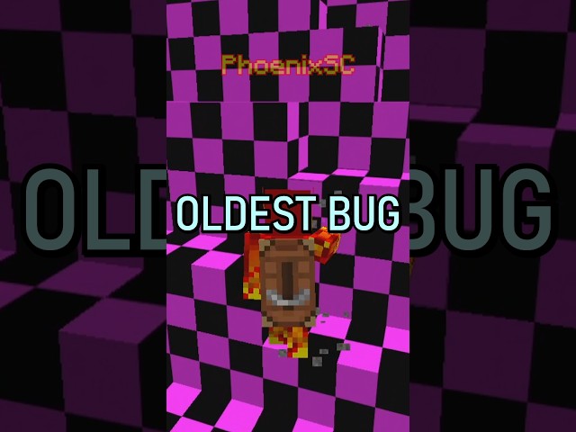 THE OLDEST BUG IN MINECRAFT IS...