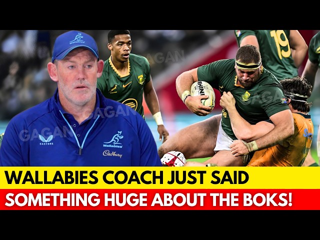 🚨WALLABIES COACH SAYS THIS TEST WILL FEEL LIKE SOMETHING MUCH BIGGER! | SPRINGBOKS NEWS