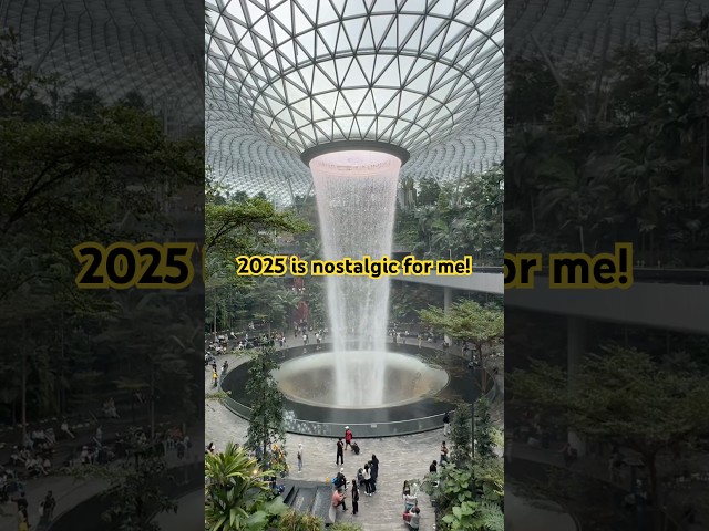 Why visit any other place when you have Singapore 😇