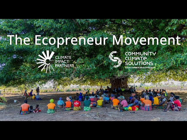 The Ecopreneur Movement: Miombo Woodland Restoration, Zambia