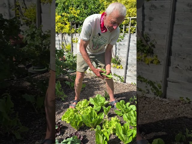 Watering according to plant size and maturity