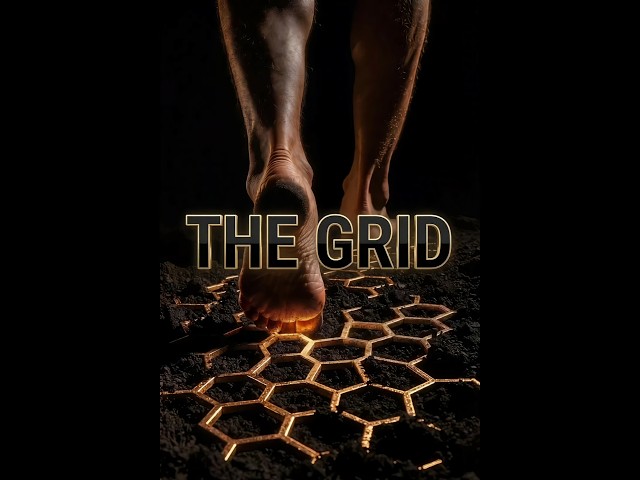 THE GRID | The God Code