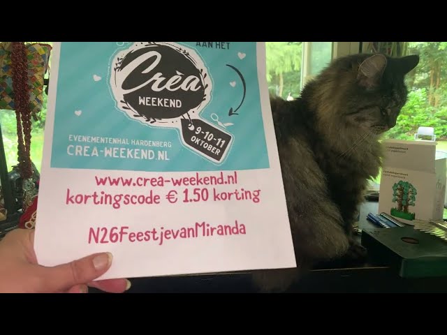 #3900 Koffiepraatjes en theeleutjes bij #MAAKHETMETMIRANDA