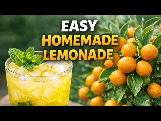 You Don’t Need Store Lemonade | Make This at Home