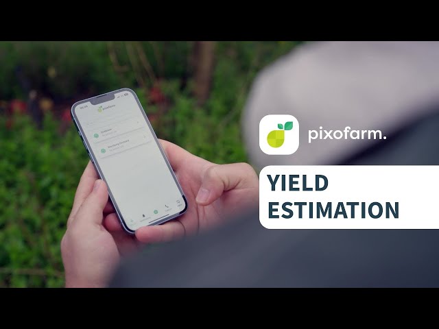 Pixofarm | Yield Estimation