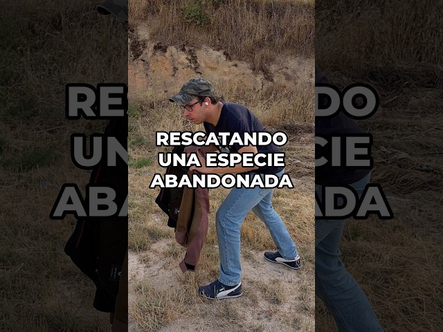 Rescuing an abandoned species