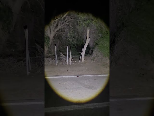 Urbex