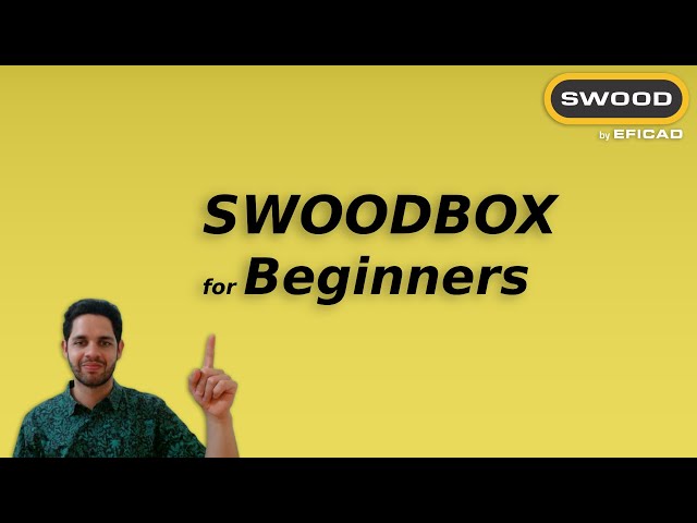 SWOODBOX for Beginners – Build Cabinets Fast Without the Confusion!