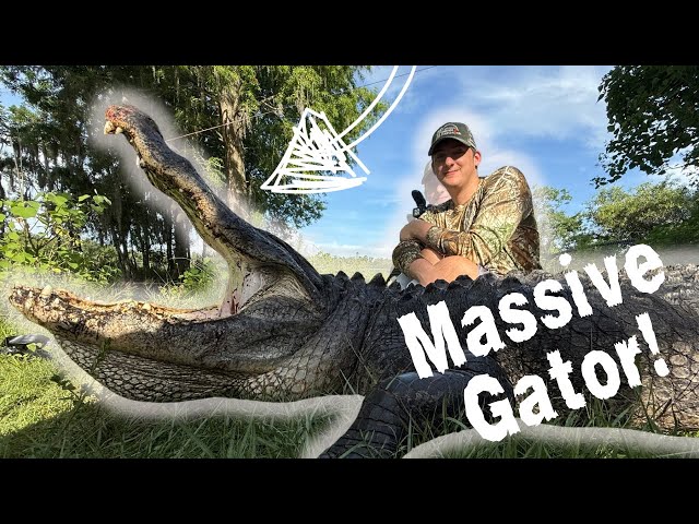 Kid Harvests MASSIVE ALLIGATOR In Florida!