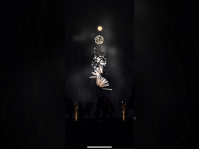 Fireworks Pro