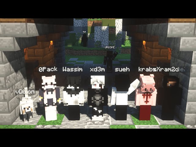 Ft.The Best BlocksMC Players