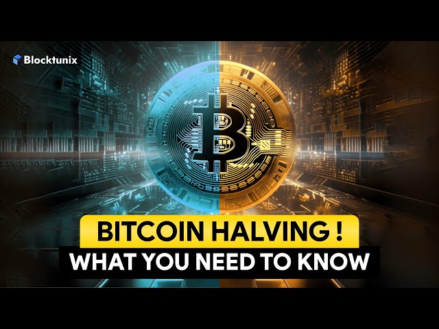 Bitcoin Halving Explained 2024 | Why Bitcoin Price Crash or Skyrocket After Halving?