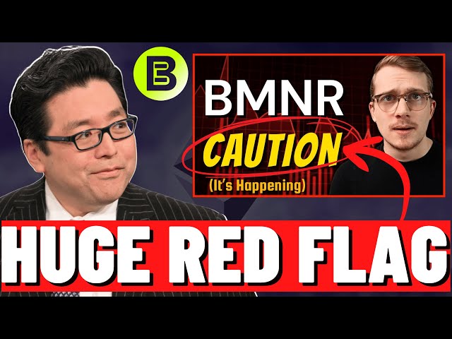 WARNING: This is The BIGGEST BMNR Red Flag!! (NOT GOOD)