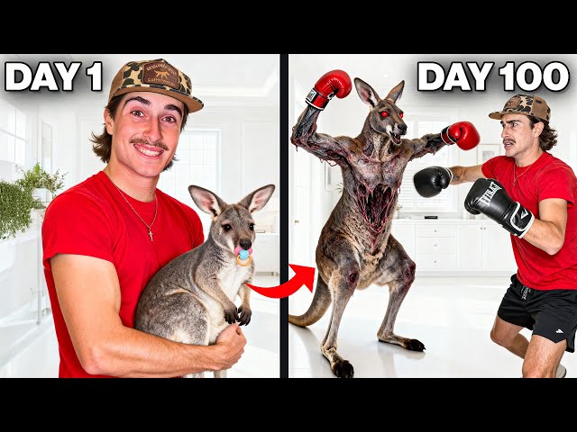 I Raised a Kangaroo to Box Me (100 Day Evolution)
