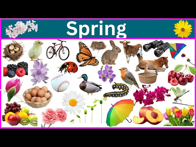 125 Must Know Spring Season Vocabulary Words!