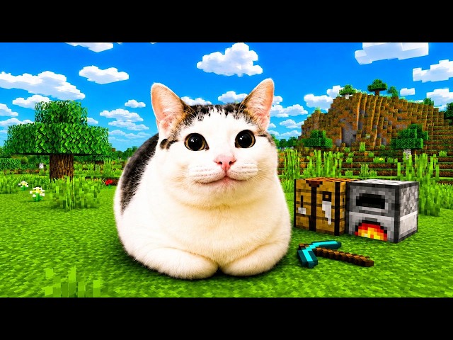 Minecraft but with Cats (Last Episode)