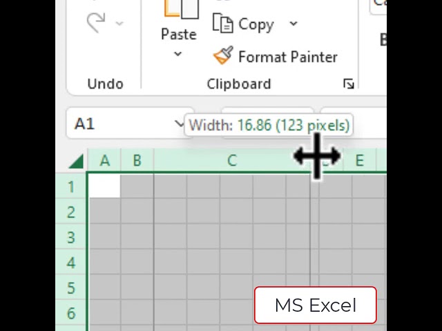 MS Excel Resizing Rows and Columns