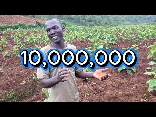 Amafaranga arimo Kabisa😅