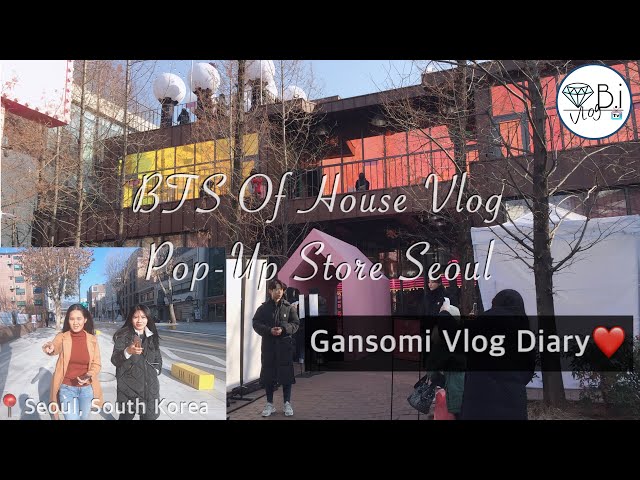 Bts Of House Vlog - Pop-Up Store Seoul (Gansomi Vlog Diary)