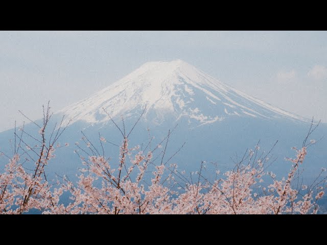 Postcards From Fuji