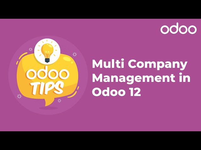 Odoo 12 Multi Company Management - Odoo Tips
