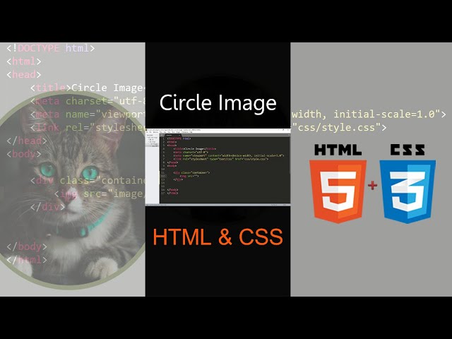 Rounded and Circular Image Using HTML & CSS | #shorts