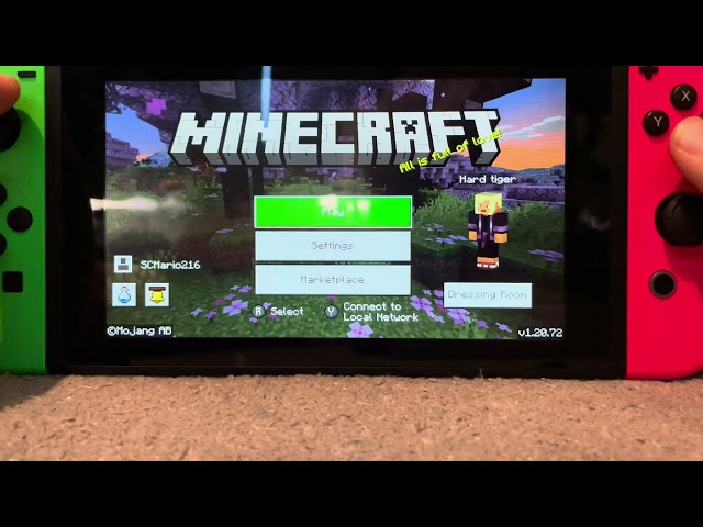 Can you use Minecraft with Nintendo VR