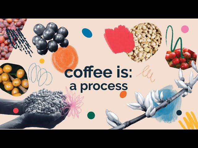 Coffee Is A Process by ED+U (Part 3)
