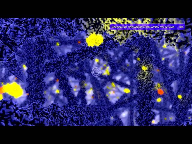 Diffusion and Crowding inside the Cell - ETHZ & ScienceVisuals/Visualbiotech