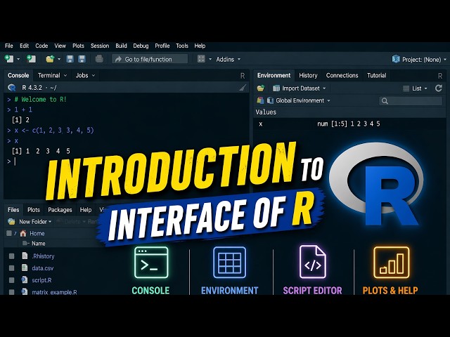 Introduction to the Interface of R Programming